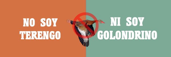 guanapool Profile Banner