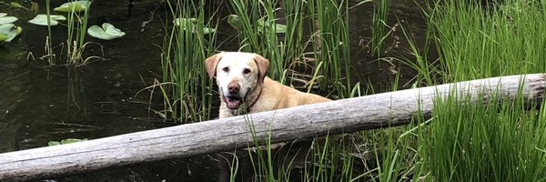 jordanshamir2 Profile Banner