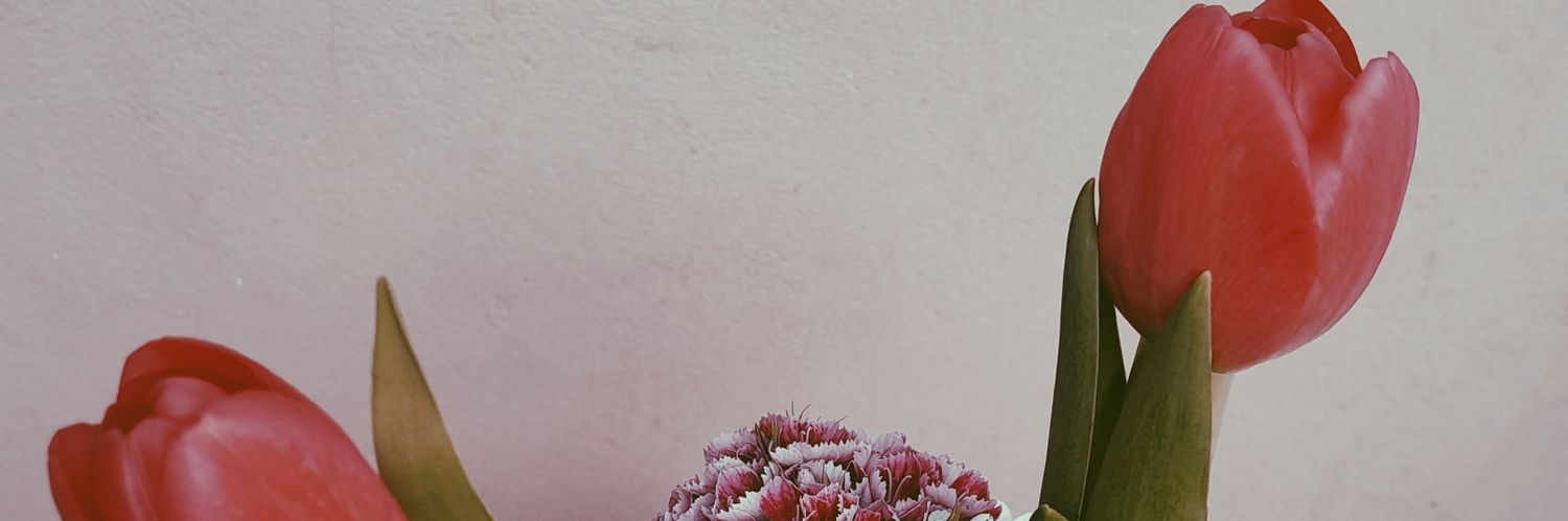 DomatoMagali's profile banner image