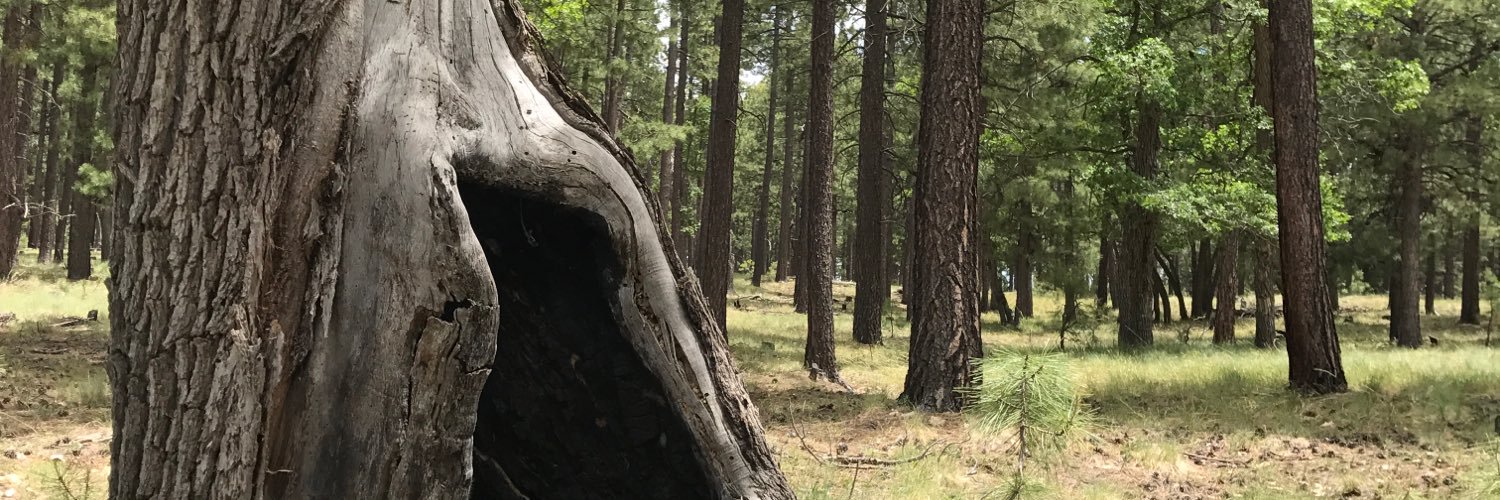 Brandon_Rule23's profile banner image