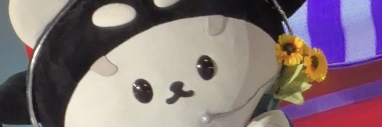 cinA ꒰ᐢ. .ᐢ꒱ banner