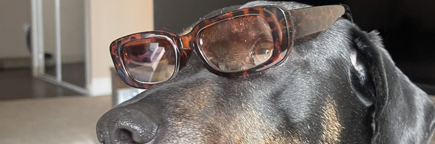 Tim Sullivan 🐋 banner