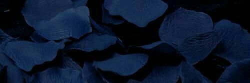 soocloor's profile banner image