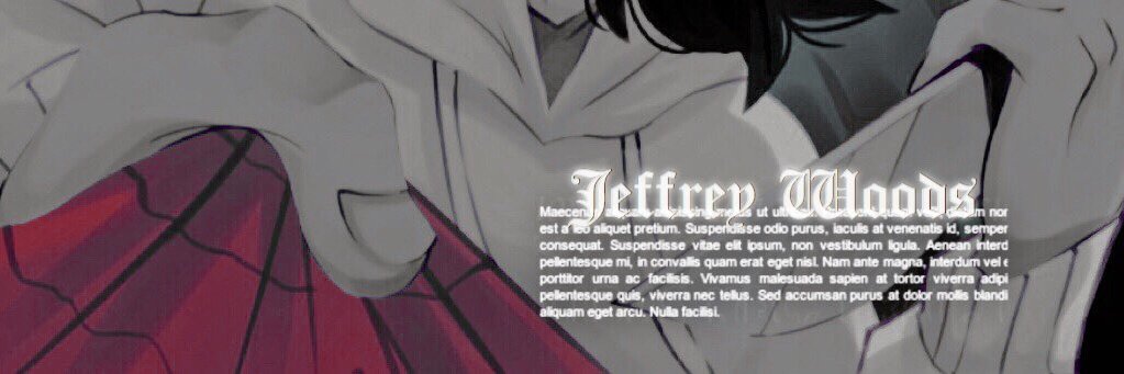 BleachedKiller's profile banner image