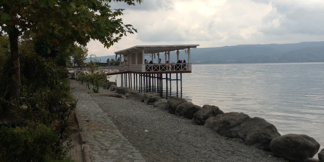 ucmemoli's profile banner image
