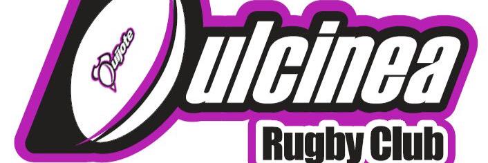 DulcineaRC's profile banner image