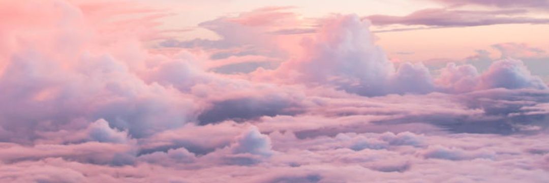 Porcelainette's profile banner image