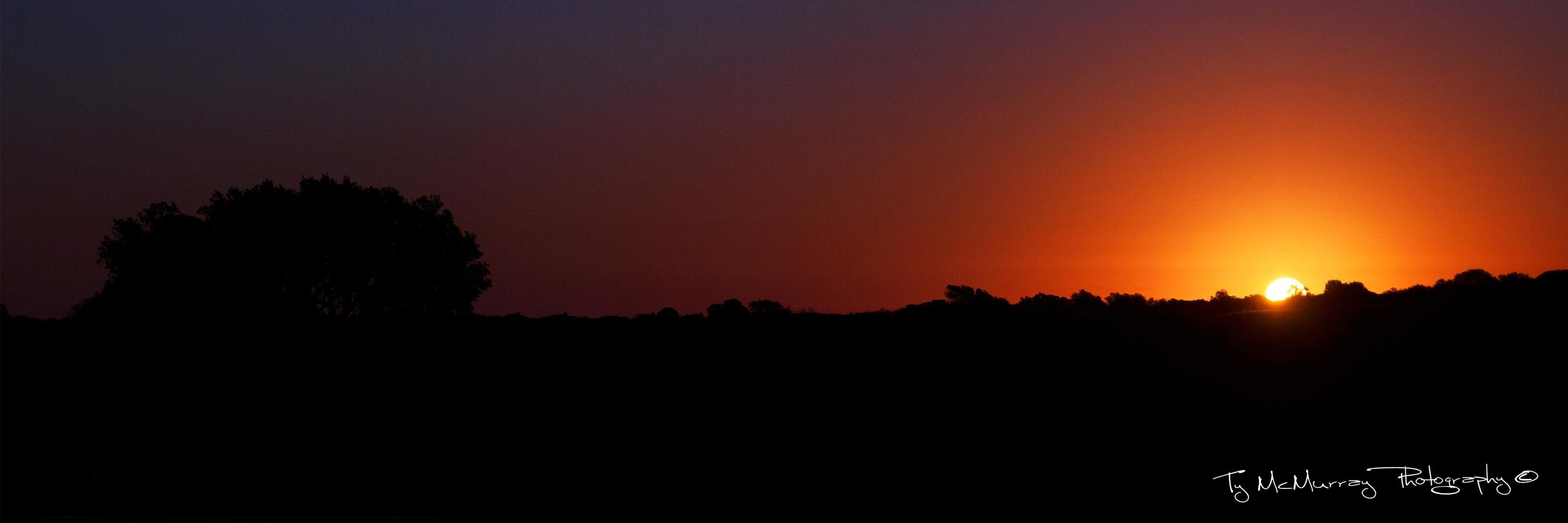 TyMcMurray's profile banner image