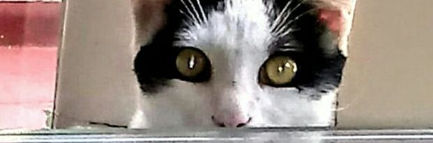 euggany's profile banner image