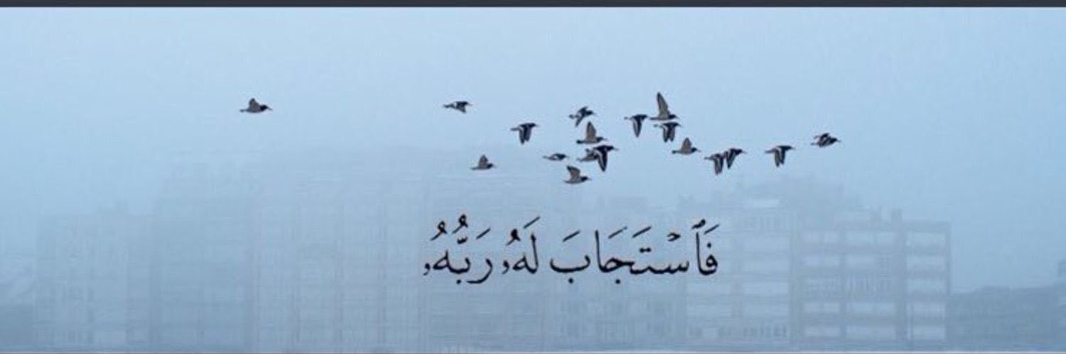mo_on_55's profile banner image