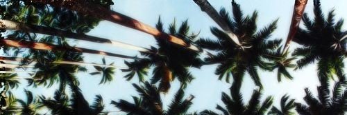evrybdyhatested's profile banner image