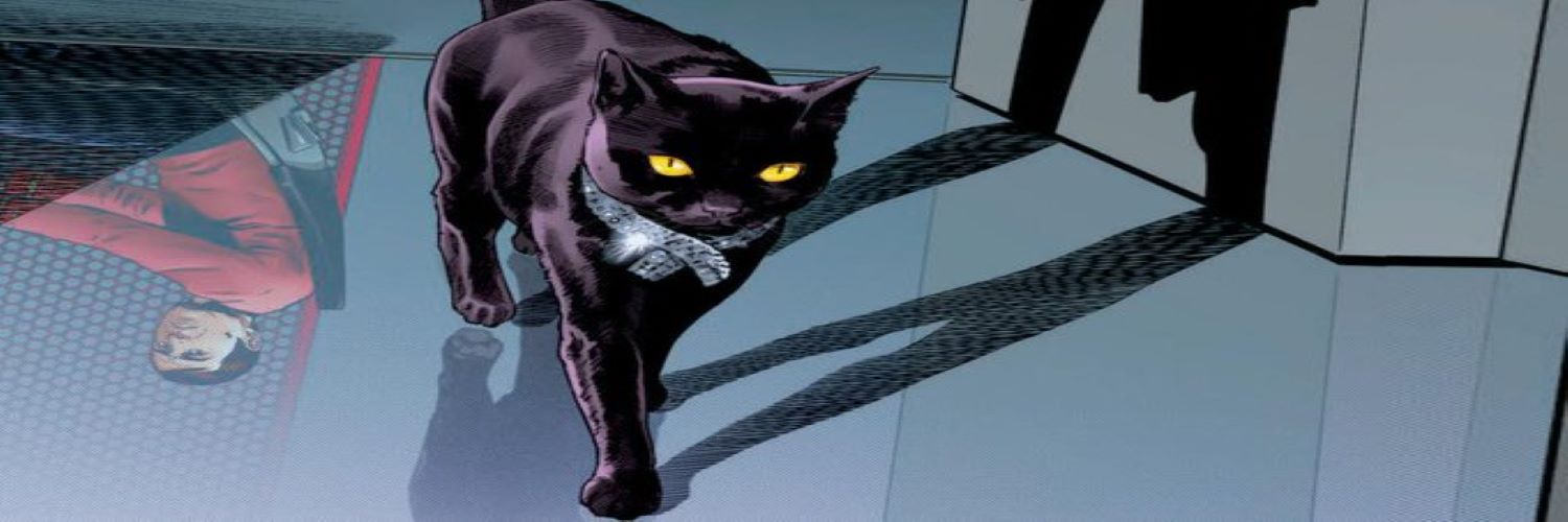 Conoxone's profile banner image