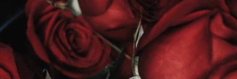 vladscala's profile banner image