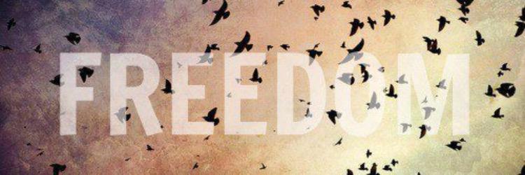 xojessfox's profile banner image