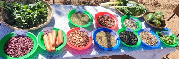 nutriactionzim Profile Banner