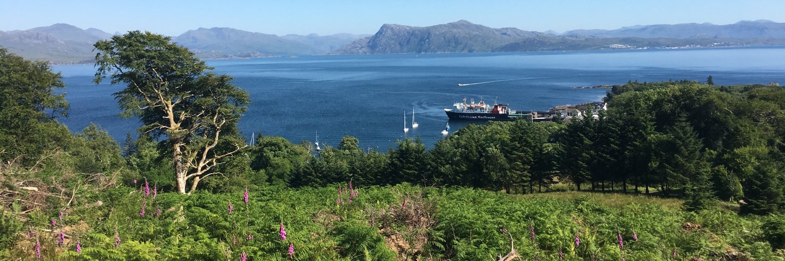 Erica Robenalt (she/her) banner