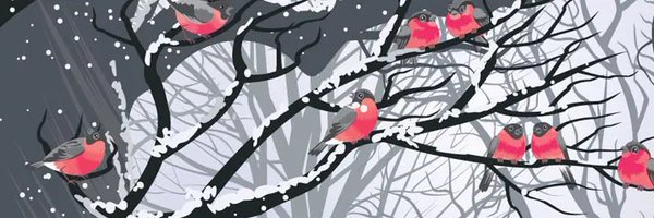 splendidaustin Profile Banner