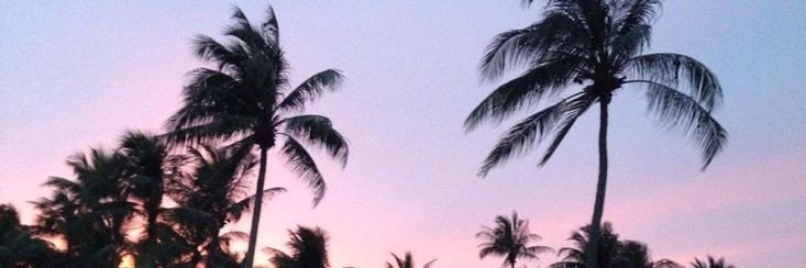 __sar4h__'s profile banner image