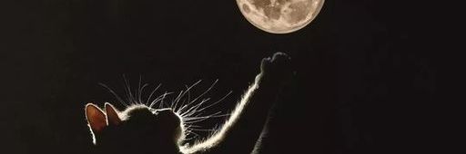 bh_itzel's profile banner image