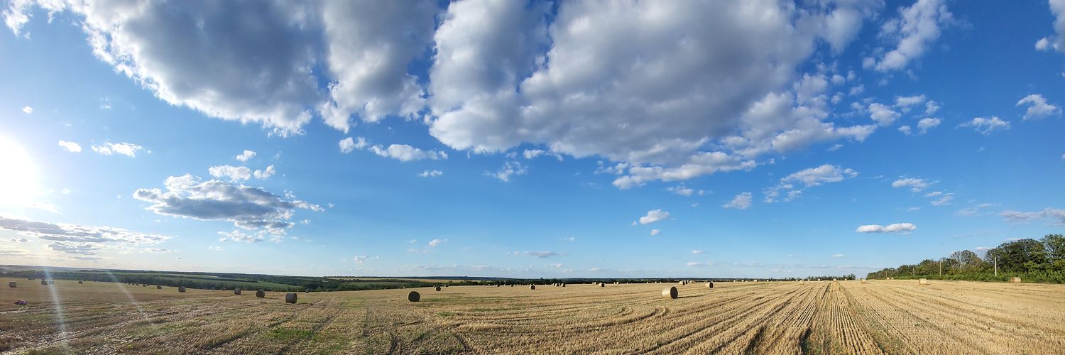 Oleksandr Piddubnyy banner