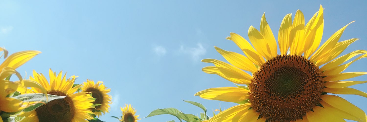 夜緋（よあけ） banner