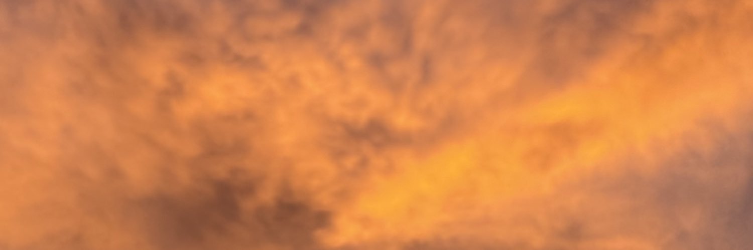 laucha panki banner