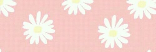 mariaelzinga's profile banner image