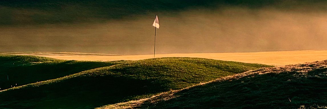 NICE UP AND DOWN banner