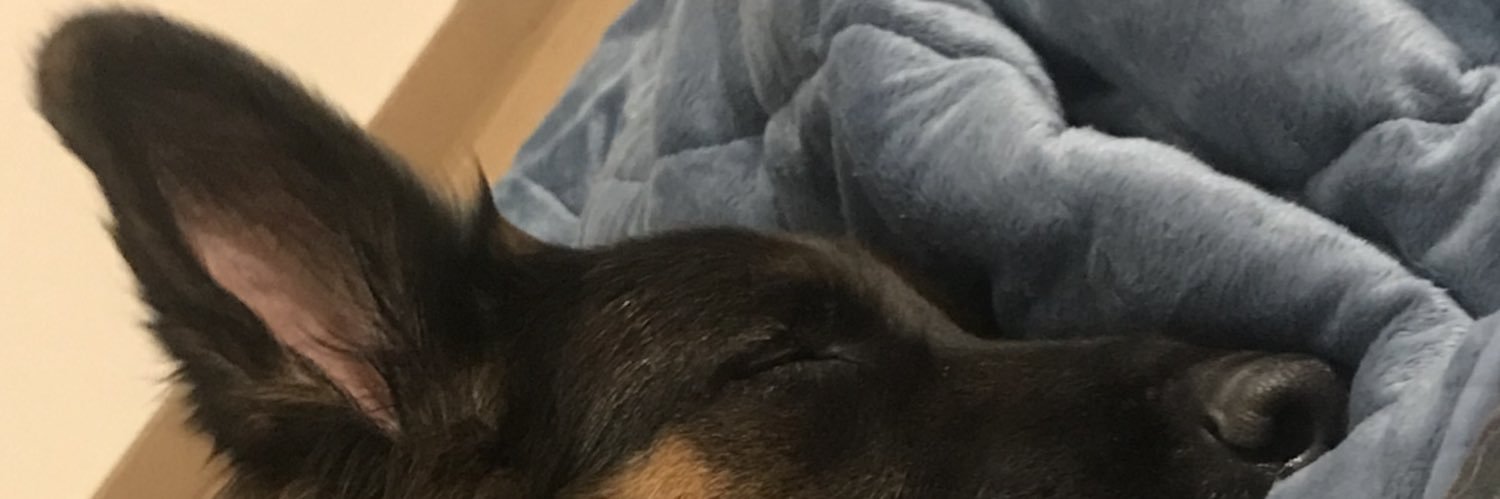 JankauskaiteLin's profile banner image