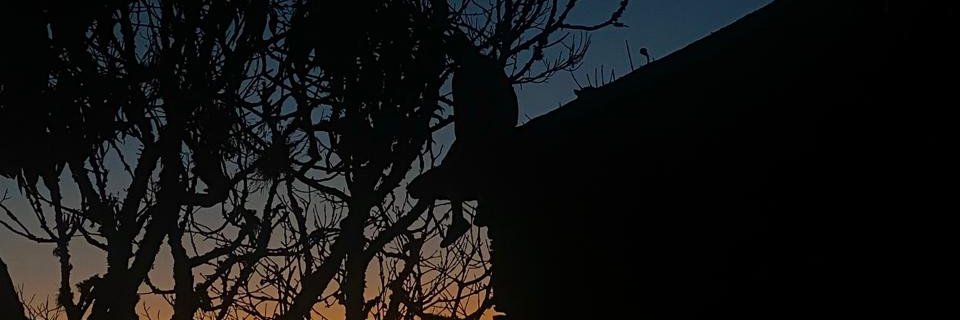 _chedid_'s profile banner image