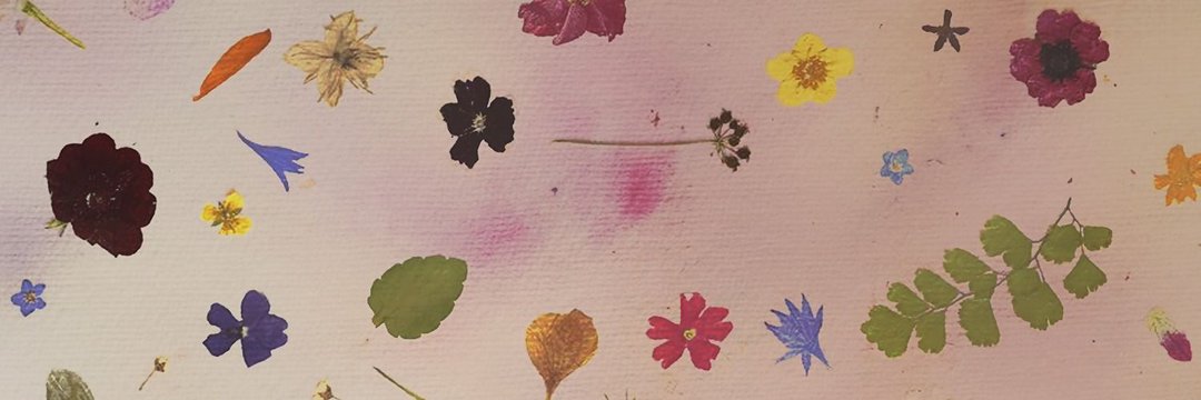 𝒂𝒓𝒕𝒆𝒎𝒊𝒔 banner