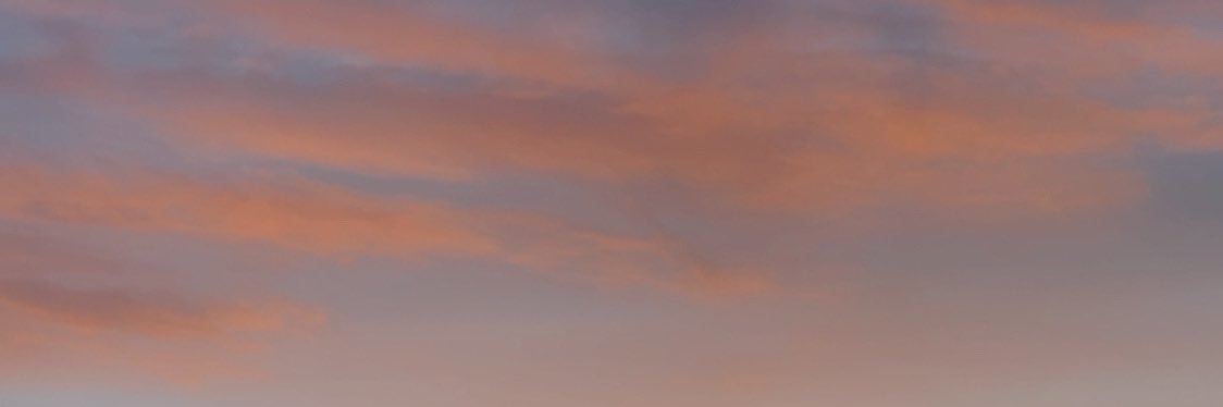 sam 🍓 banner