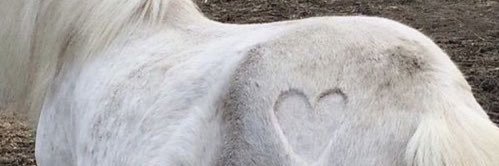 luv4evaaaa's profile banner image
