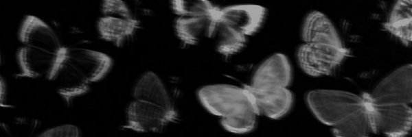 softxlumax Profile Banner