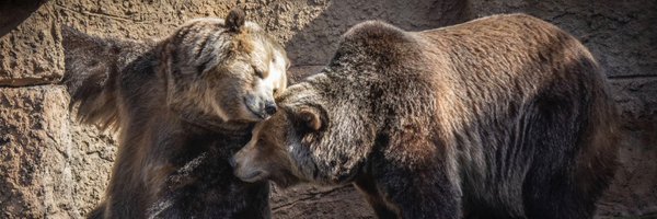 sfzoo Profile Banner