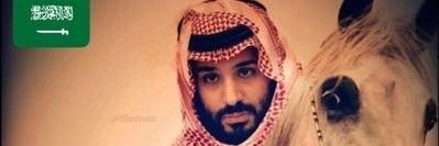 alnaaadr017's profile banner image