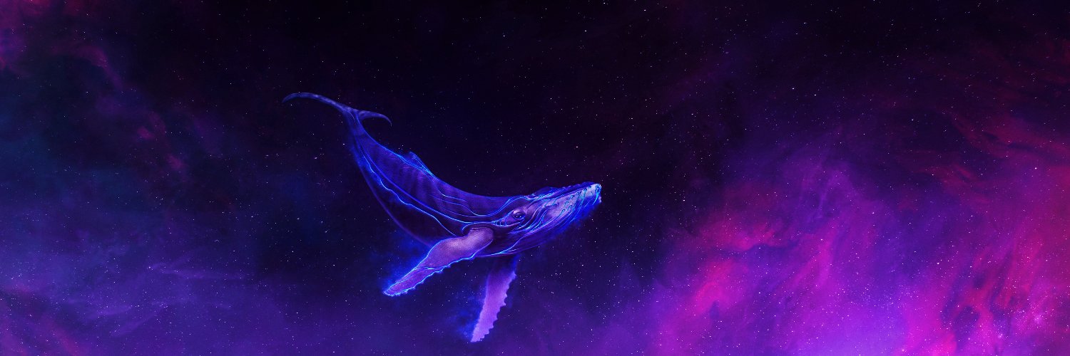 dhwin banner
