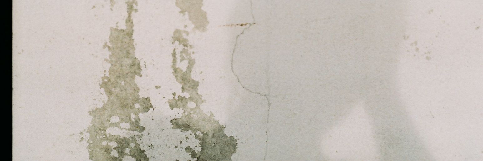 P_tp13's profile banner image