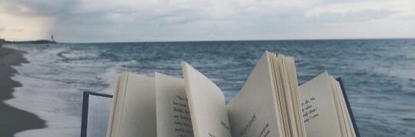 𝓴𝓪𝓻𝓸𝓵𝓪 ʚɞ | will see 5sos again banner