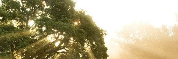 RBozzard's profile banner image