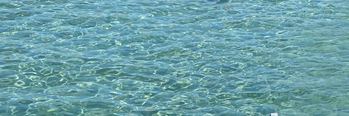 NihalSeven4's profile banner image