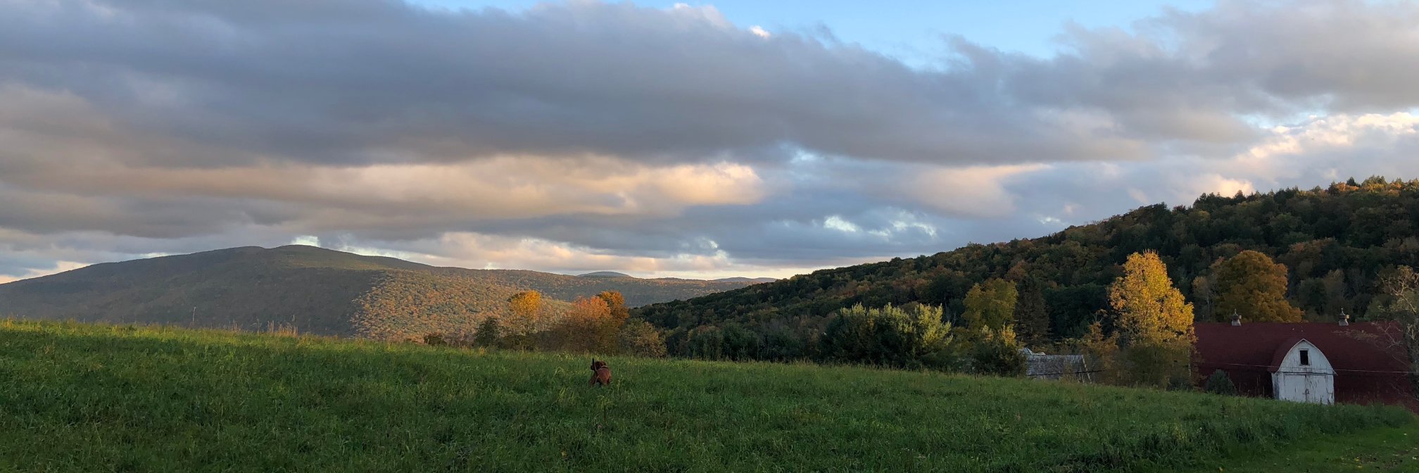 Katherine Hackett, PhD banner