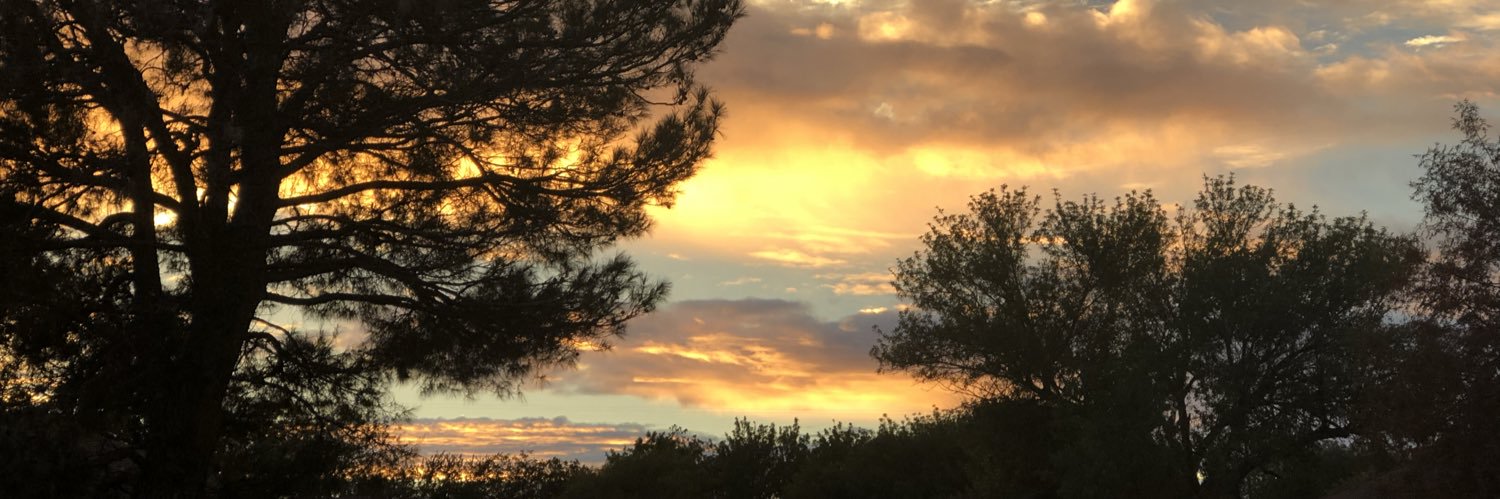 carolwmsn's profile banner image