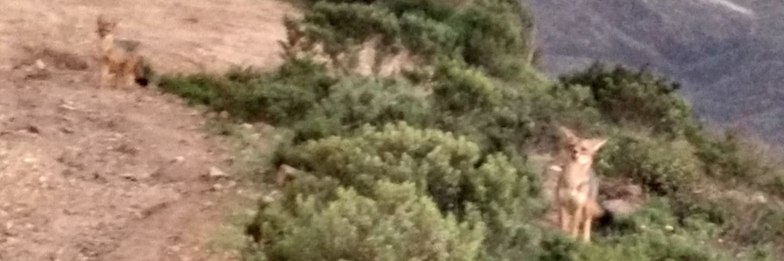 kukysam's profile banner image