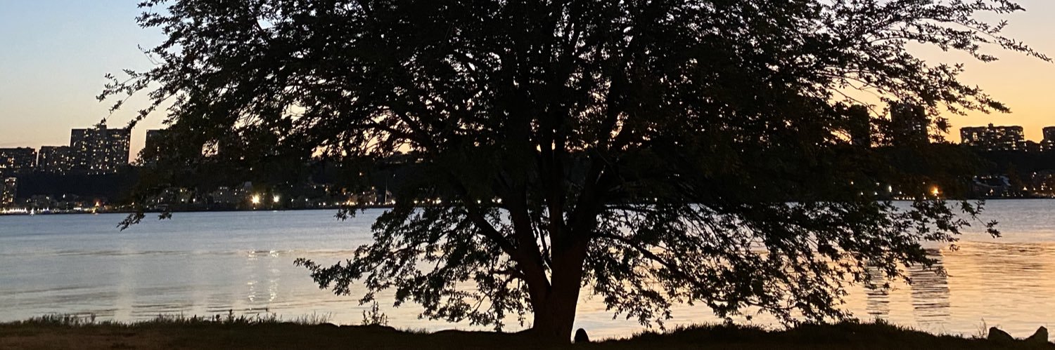 Lainy007's profile banner image