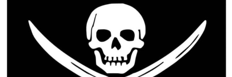 CottonRaider's profile banner image