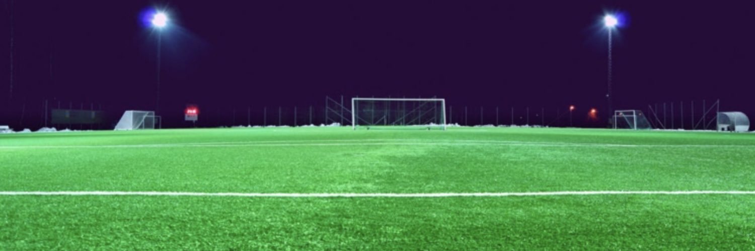 Lizard Argyle banner