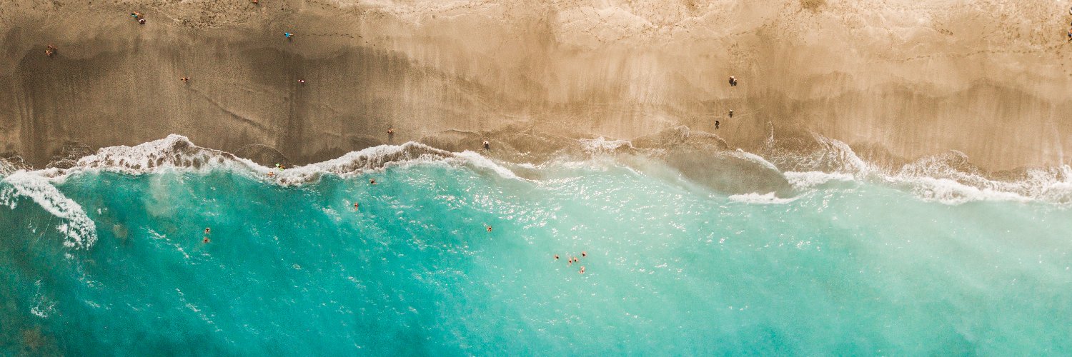 Linnea Bailey banner