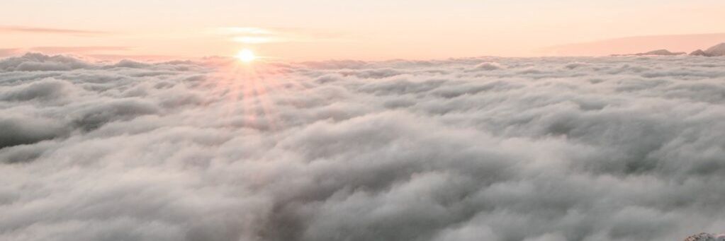 PHG25518352's profile banner image