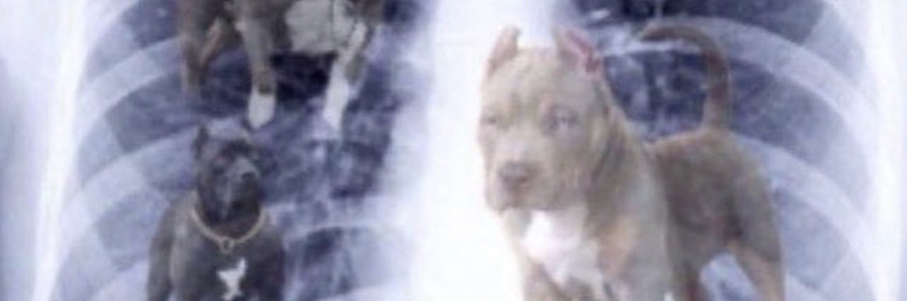 SilverMoneyBagzzz banner